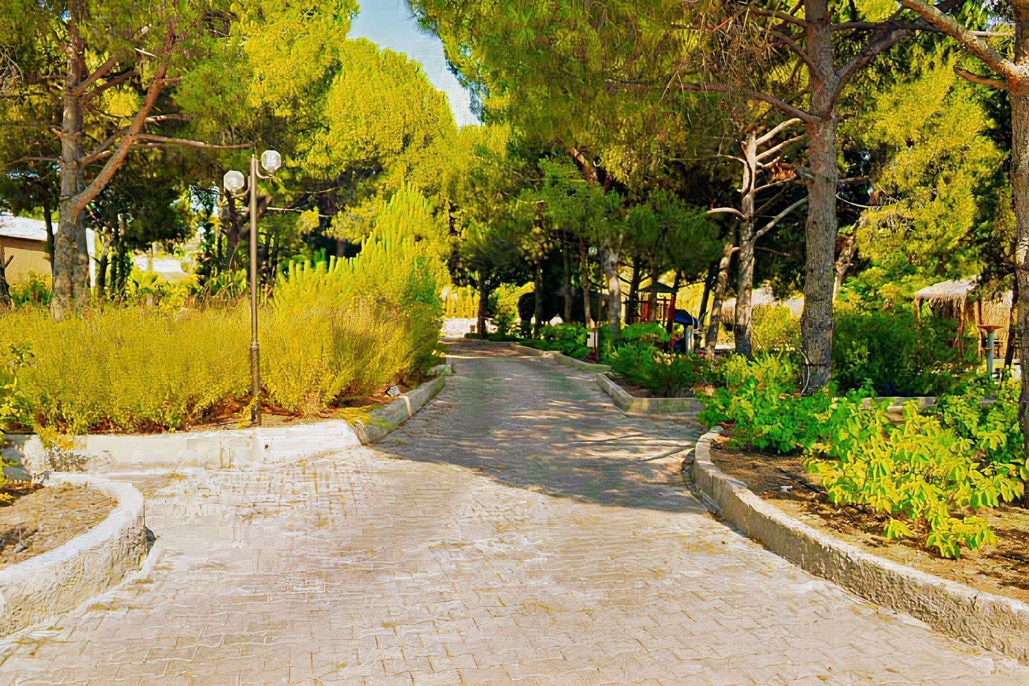 Elitium Thermal Hotel Bozkoy  Exterior photo